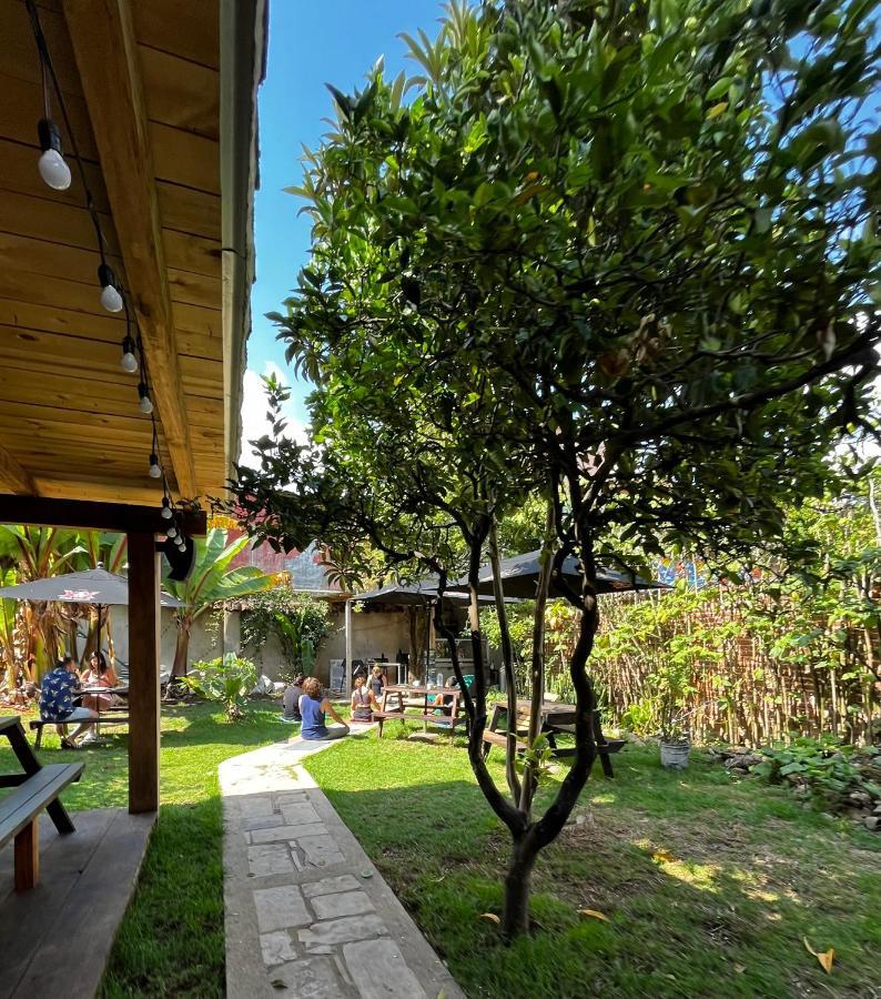 The Coffee Bean Hostel San Cristóbal de Las Casas Εξωτερικό φωτογραφία