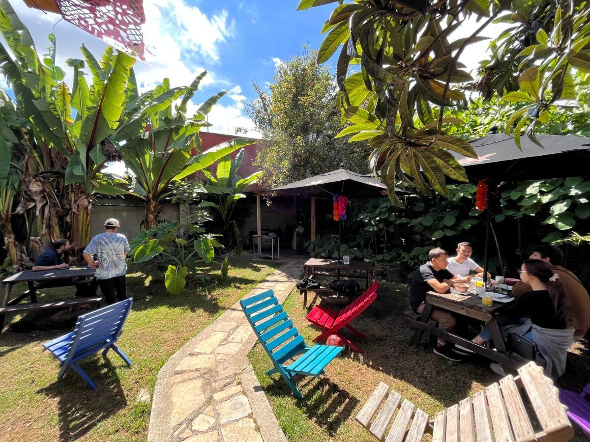 The Coffee Bean Hostel San Cristóbal de Las Casas Εξωτερικό φωτογραφία