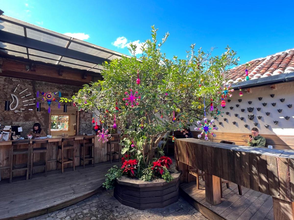 The Coffee Bean Hostel San Cristóbal de Las Casas Εξωτερικό φωτογραφία