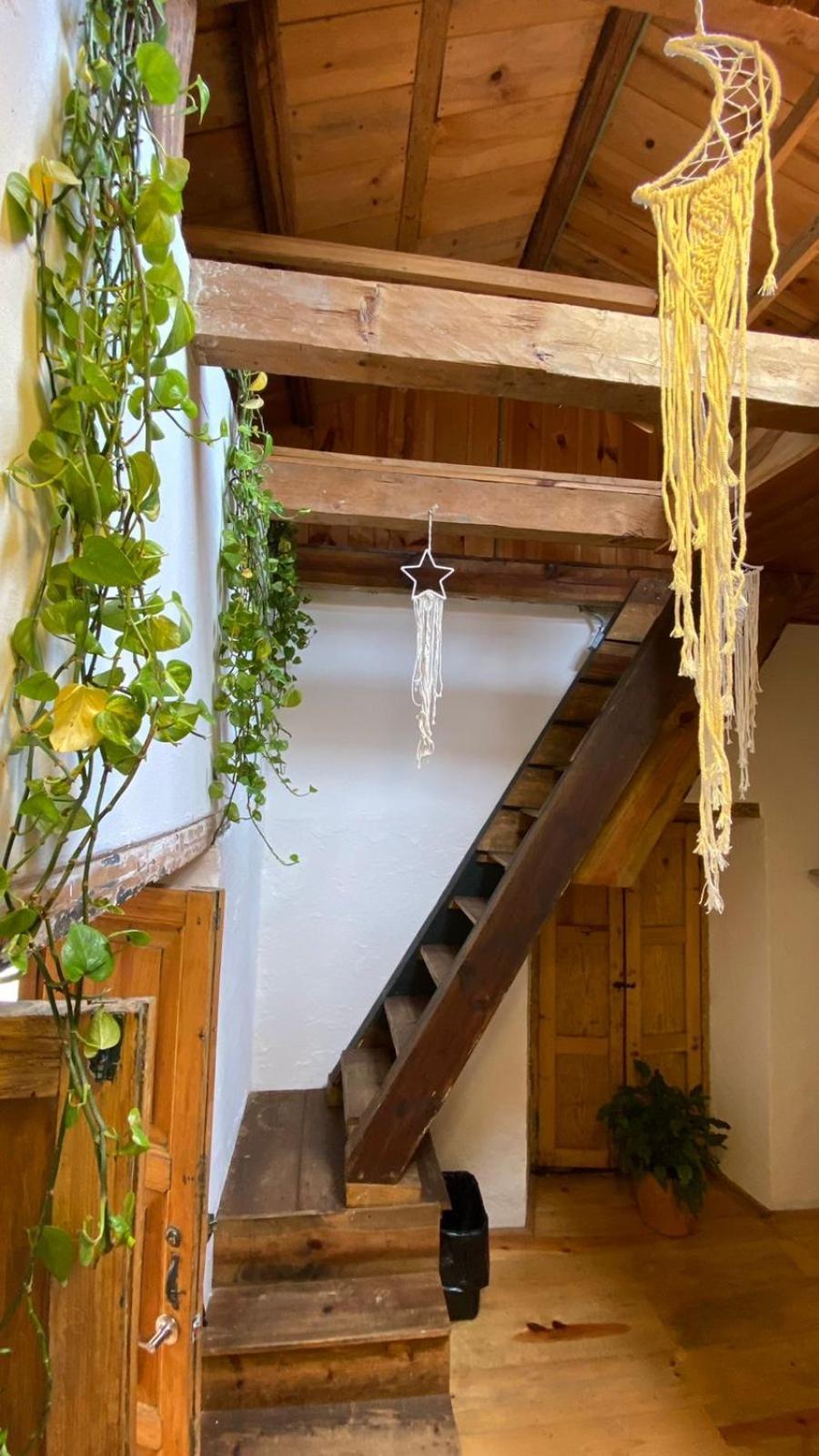 The Coffee Bean Hostel San Cristóbal de Las Casas Εξωτερικό φωτογραφία